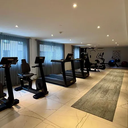 阿雅克修美居酒店